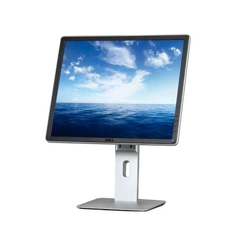 monitor dell ;ed 19